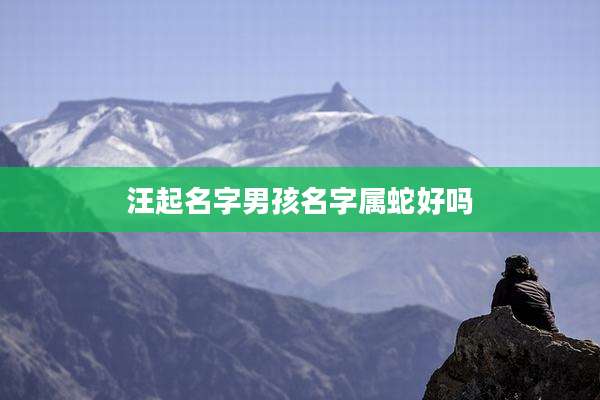 汪起名字男孩名字属蛇好吗