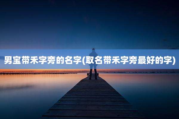 男宝带禾字旁的名字(取名带禾字旁最好的字)