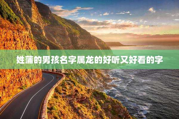 姓蒲的男孩名字属龙的好听又好看的字