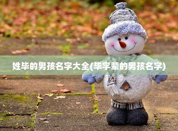姓毕的男孩名字大全(毕字辈的男孩名字)