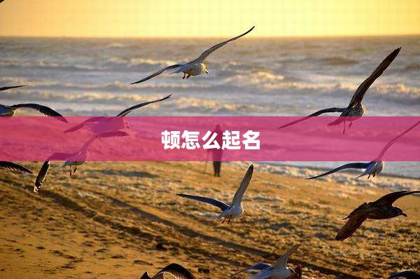 顿怎么起名