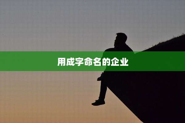 用成字命名的企业