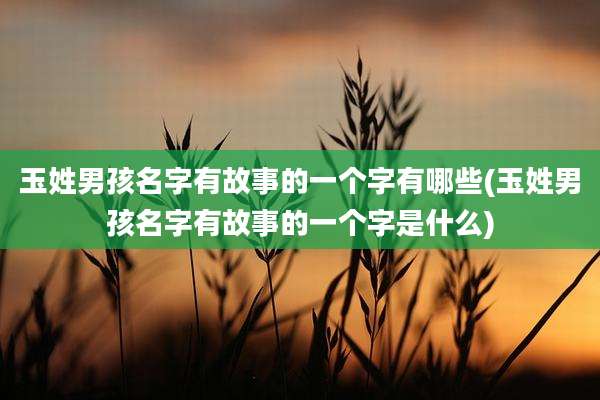 玉姓男孩名字有故事的一个字有哪些(玉姓男孩名字有故事的一个字是什么)