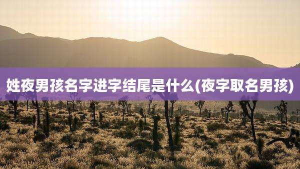 姓夜男孩名字进字结尾是什么(夜字取名男孩)
