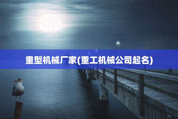 重型机械厂家(重工机械公司起名)