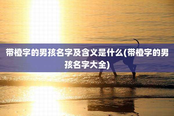 带橙字的男孩名字及含义是什么(带橙字的男孩名字大全)