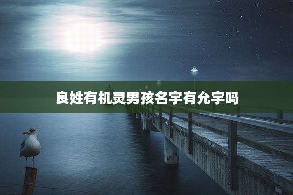 良姓有机灵男孩名字有允字吗