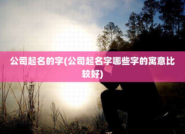 公司起名的字(公司起名字哪些字的寓意比较好)