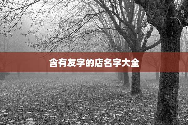 含有友字的店名字大全