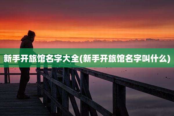 新手开旅馆名字大全(新手开旅馆名字叫什么)