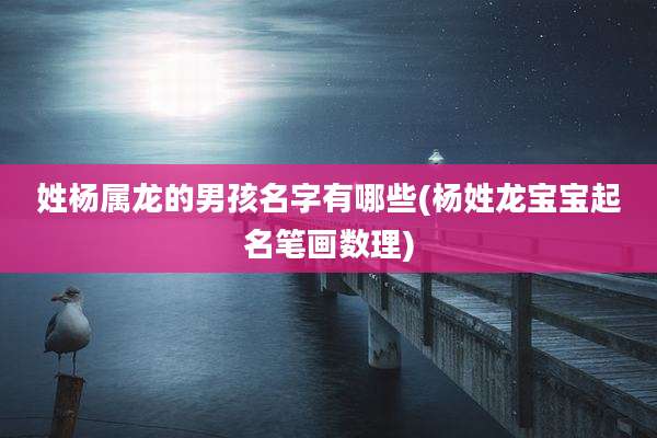姓杨属龙的男孩名字有哪些(杨姓龙宝宝起名笔画数理)
