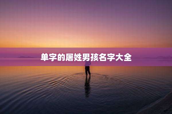单字的屠姓男孩名字大全