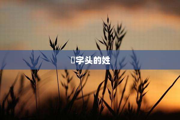 ⺮字头的姓