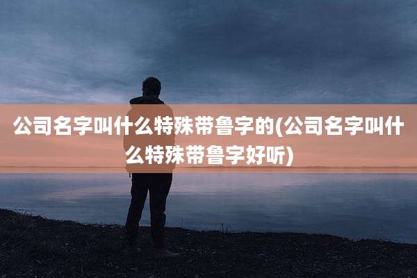 公司名字叫什么特殊带鲁字的(公司名字叫什么特殊带鲁字好听)