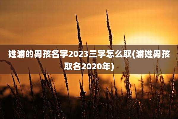 姓浦的男孩名字2023三字怎么取(浦姓男孩取名2020年)