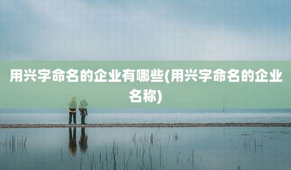 用兴字命名的企业有哪些(用兴字命名的企业名称)