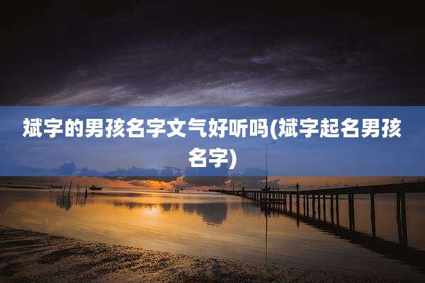 斌字的男孩名字文气好听吗(斌字起名男孩名字)