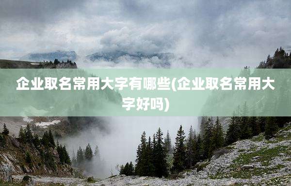 企业取名常用大字有哪些(企业取名常用大字好吗)
