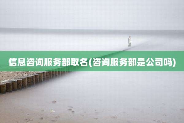 信息咨询服务部取名(咨询服务部是公司吗)