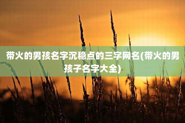 带火的男孩名字沉稳点的三字网名(带火的男孩子名字大全)