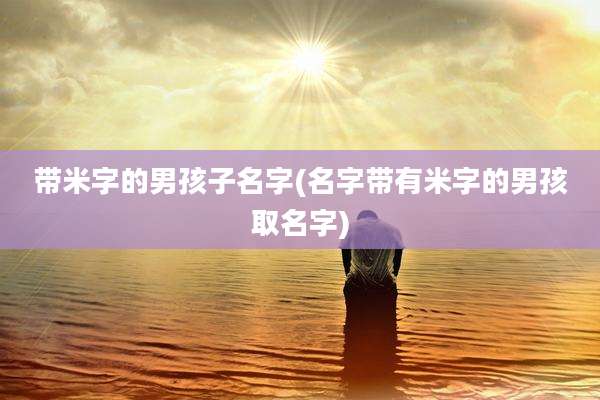 带米字的男孩子名字(名字带有米字的男孩取名字)