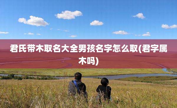 君氏带木取名大全男孩名字怎么取(君字属木吗)