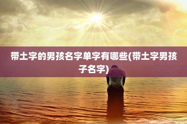 带土字的男孩名字单字有哪些(带土字男孩子名字)