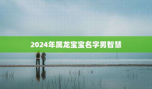 2024年属龙宝宝名字男智慧
