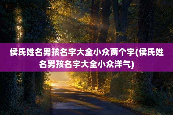 侯氏姓名男孩名字大全小众两个字(侯氏姓名男孩名字大全小众洋气)