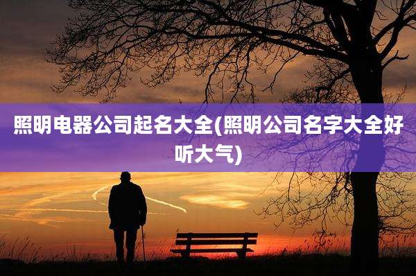 照明电器公司起名大全(照明公司名字大全好听大气)