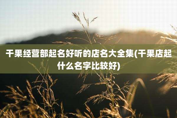 干果经营部起名好听的店名大全集(干果店起什么名字比较好)