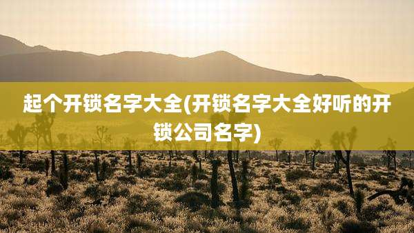 起个开锁名字大全(开锁名字大全好听的开锁公司名字)