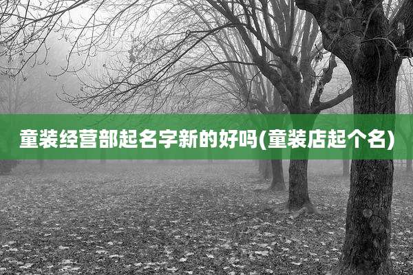童装经营部起名字新的好吗(童装店起个名)