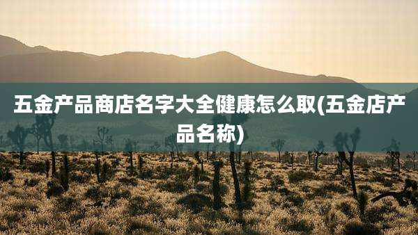 五金产品商店名字大全健康怎么取(五金店产品名称)