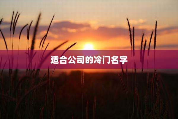 适合公司的冷门名字