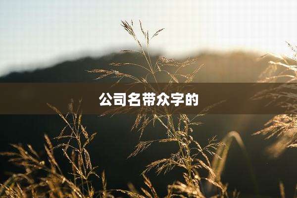 公司名带众字的