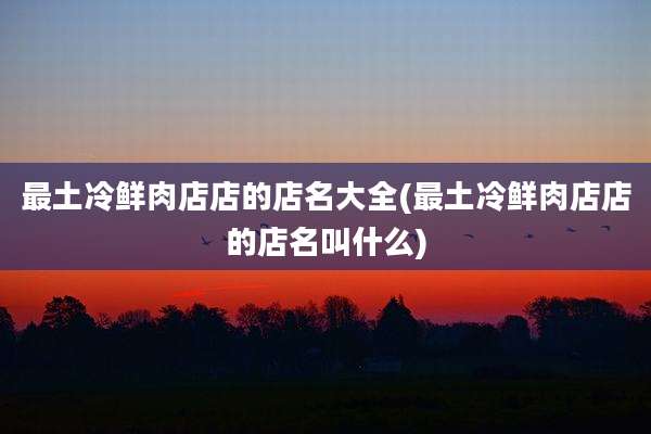 最土冷鲜肉店店的店名大全(最土冷鲜肉店店的店名叫什么)