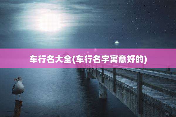 车行名大全(车行名字寓意好的)
