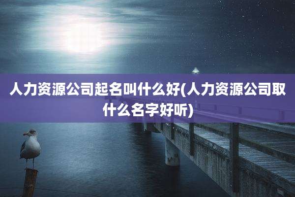 人力资源公司起名叫什么好(人力资源公司取什么名字好听)