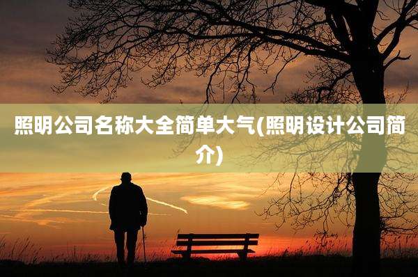 照明公司名称大全简单大气(照明设计公司简介)
