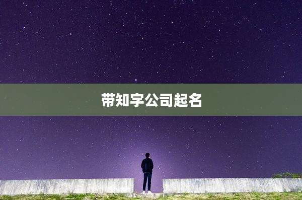 带知字公司起名