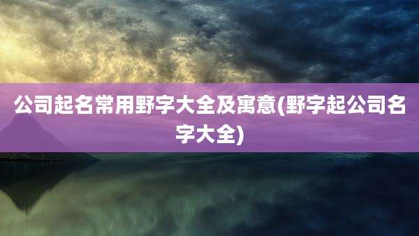 公司起名常用野字大全及寓意(野字起公司名字大全)