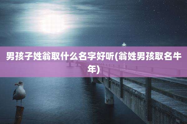 男孩子姓翁取什么名字好听(翁姓男孩取名牛年)