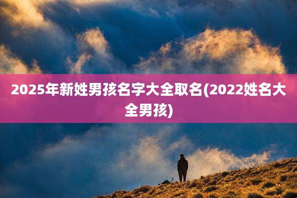 2025年新姓男孩名字大全取名(2022姓名大全男孩)