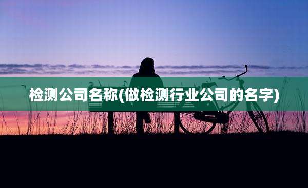 检测公司名称(做检测行业公司的名字)
