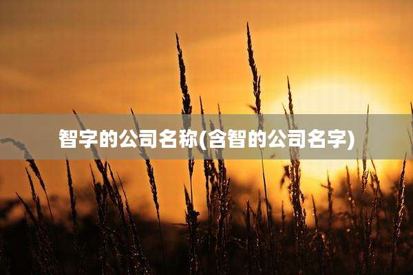 智字的公司名称(含智的公司名字)