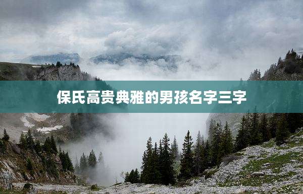 保氏高贵典雅的男孩名字三字