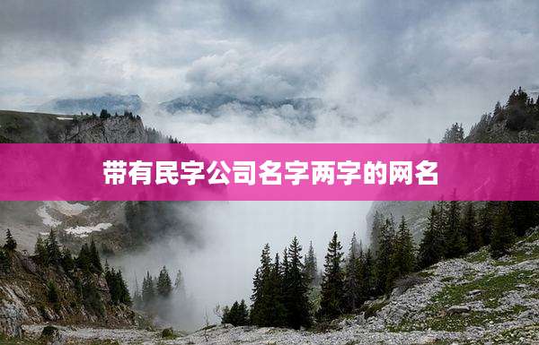 带有民字公司名字两字的网名