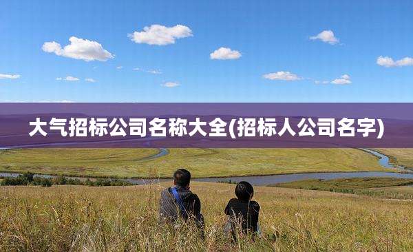大气招标公司名称大全(招标人公司名字)