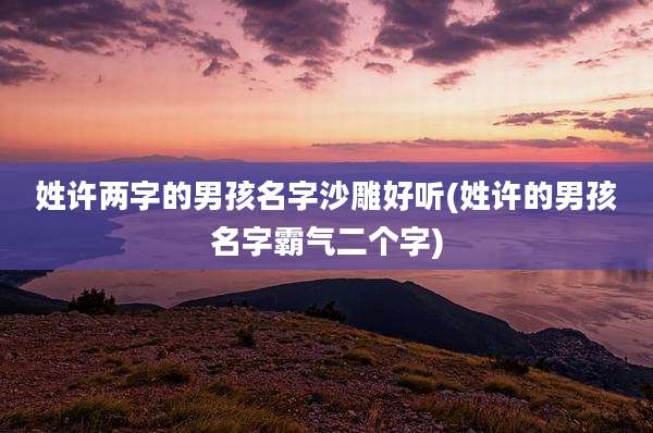 姓许两字的男孩名字沙雕好听(姓许的男孩名字霸气二个字)